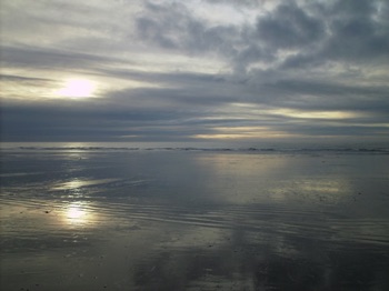 The Beach at Borth